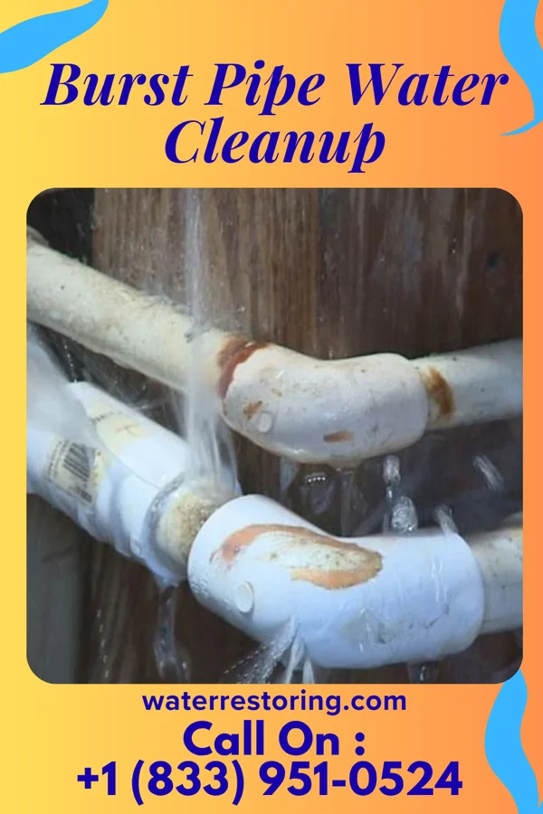 Burst Pipe Water Cleanup in Trail Creek, IN