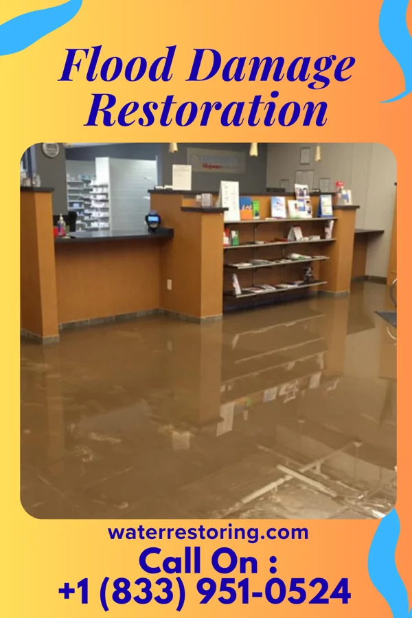 Flood Damage Restoration in Trail Creek, IN
