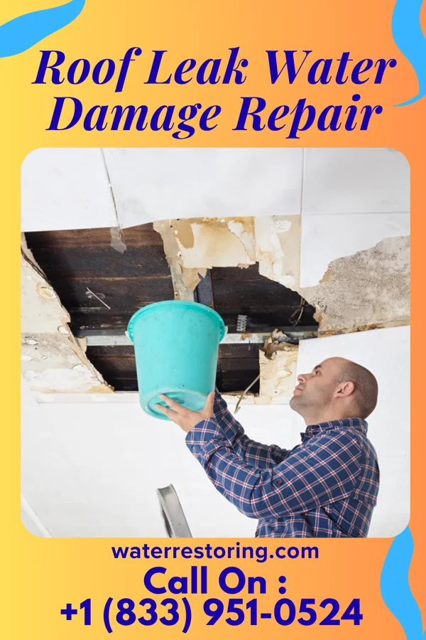 Roof Leak Water Damage Repair in Trail Creek, IN